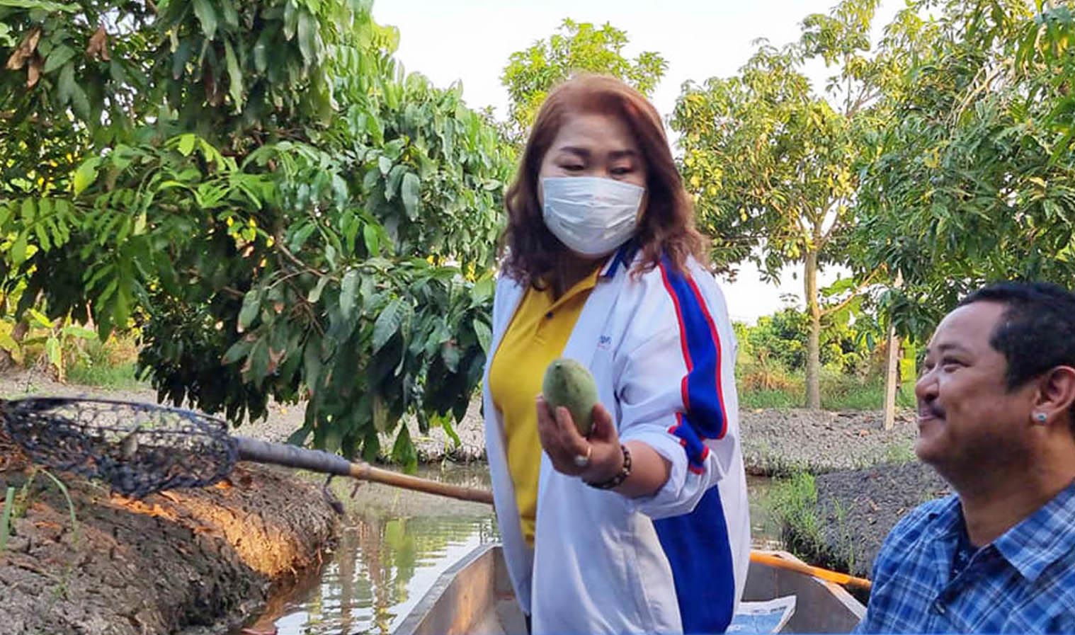 ส.ส.พรรคเศรษฐกิจไทย  บุกซื้อมะม่วงชาวสวน แจกผู้ติดโควิดฯถึงบ้าน