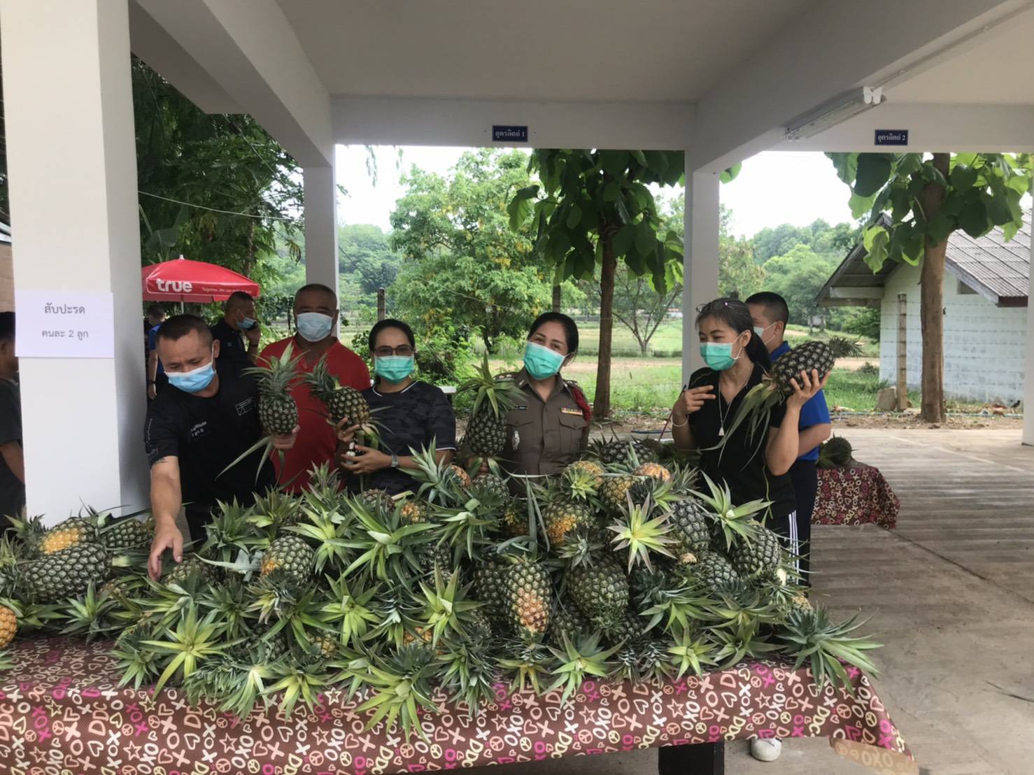 ผกก.ฝอ.ภ.จว.อุตรดิตถ์ รับซื้อสับปะรดห้วยมุ่น ช่วยเหลือเกษตรกรผู้ปลูกสับปะรดในพื้นที่ อ.น้ำปาด