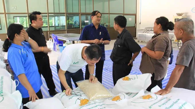 ยโสธร จับมือ Tesco Lotus สร้างเครือข่ายประชารัฐ ร่วมวางแผนอนาคตสินค้าสหกรณ์ มุ่งสร้างความยั่งยืนสู่เกษตรกร