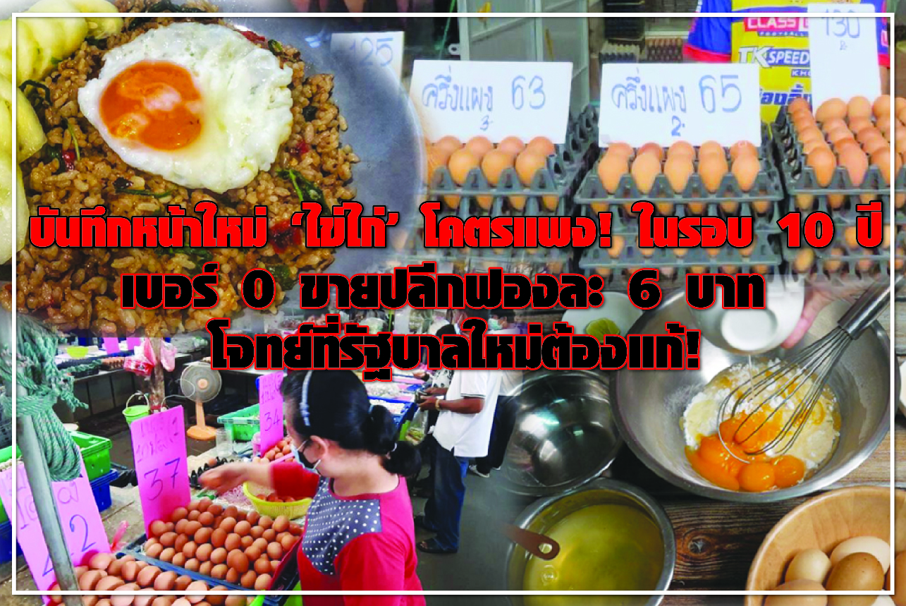 บันทึกหน้าใหม่ “ไข่ไก่” โคตรแพง! ในรอบ 10 ปี เบอร์ 0 ขายปลีกฟองละ 6 บาท โจทย์ที่รัฐบาลใหม่ต้องแก้!