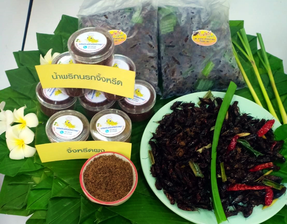 วิสาหกิจชุมชนบ้านหนองปลาไหล กลุ่มแปลงใหญ่จิ้งหรีด ‘"แผ่นดินทองคำ เกษตรกรรมยกระดับคุณภาพชีวิต : ALRO Next Step"