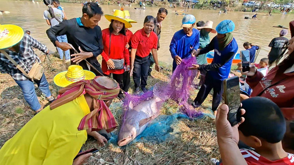 สุรินทร์คึกคัก! เซียนแหนับร้อยแห่ลงแขกจับปลาวิถีพื้นบ้าน ระดมทุนกองทุนหมู่บ้านช่วงเฝ้าระวังชายแดน