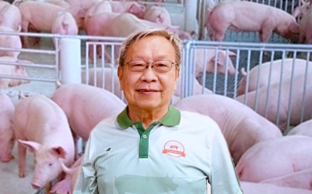 ผู้เลี้ยงหมู ย้ำไม่ควรนำเข้าเนื้อหมู หนุนนโยบายรัฐถูกต้อง เข้าใจเกษตรกร-ราคาหน้าฟาร์มอ่อนตัวแล้ว