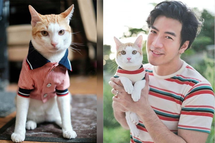 ขวัญเอยขวัญมา !!! "เจ้าส้มหยุด" ทำเอา คุณพ่อ "โย่ง อาร์มแชร์" หัวใจหายวาบ .. เมื่อหายตัวออกจากบ้าน