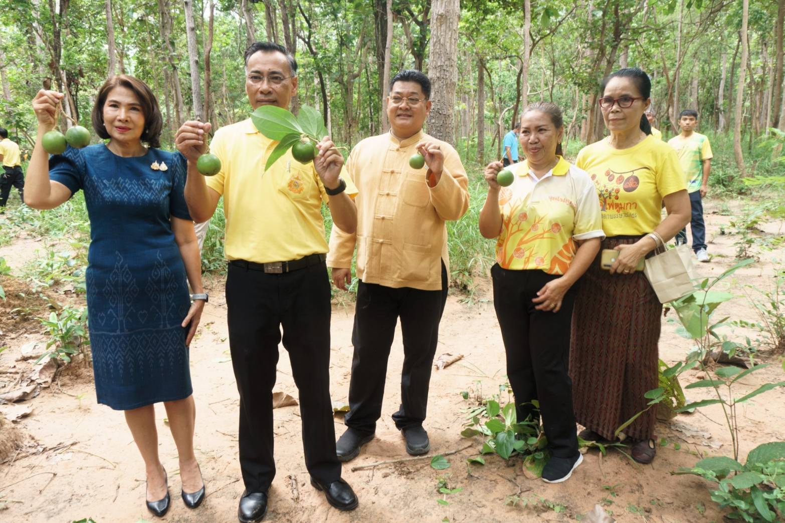ผู้ว่าฯพาลุยเก็บลูกตูมกาป่าดงมะไฟ “เตรียมงานประเพณีออกพรรษาจุดไฟตูมกา ปี67"