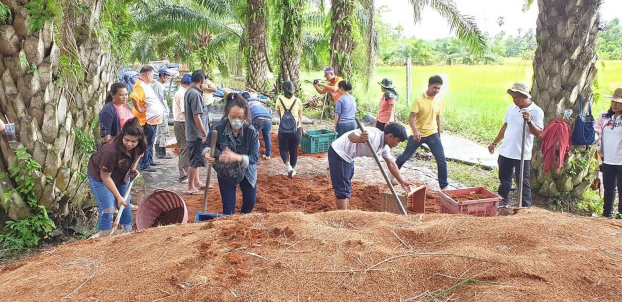 ม.ราชภัฏสุราษฎร์ธานี จัด โครงการสืบสานพันธุ์ข้าวหอมไชยาตามหลักปรัชญาเศรษฐกิจพอเพียง 