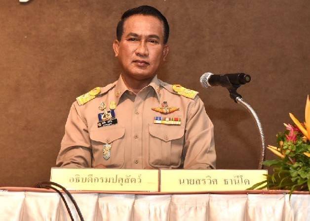 อธิบดีกรมปศุสัตว์ ลั่นระบบป้องกัน "โรค ASF" ของไทย ดีที่สุดในอาเซียน
