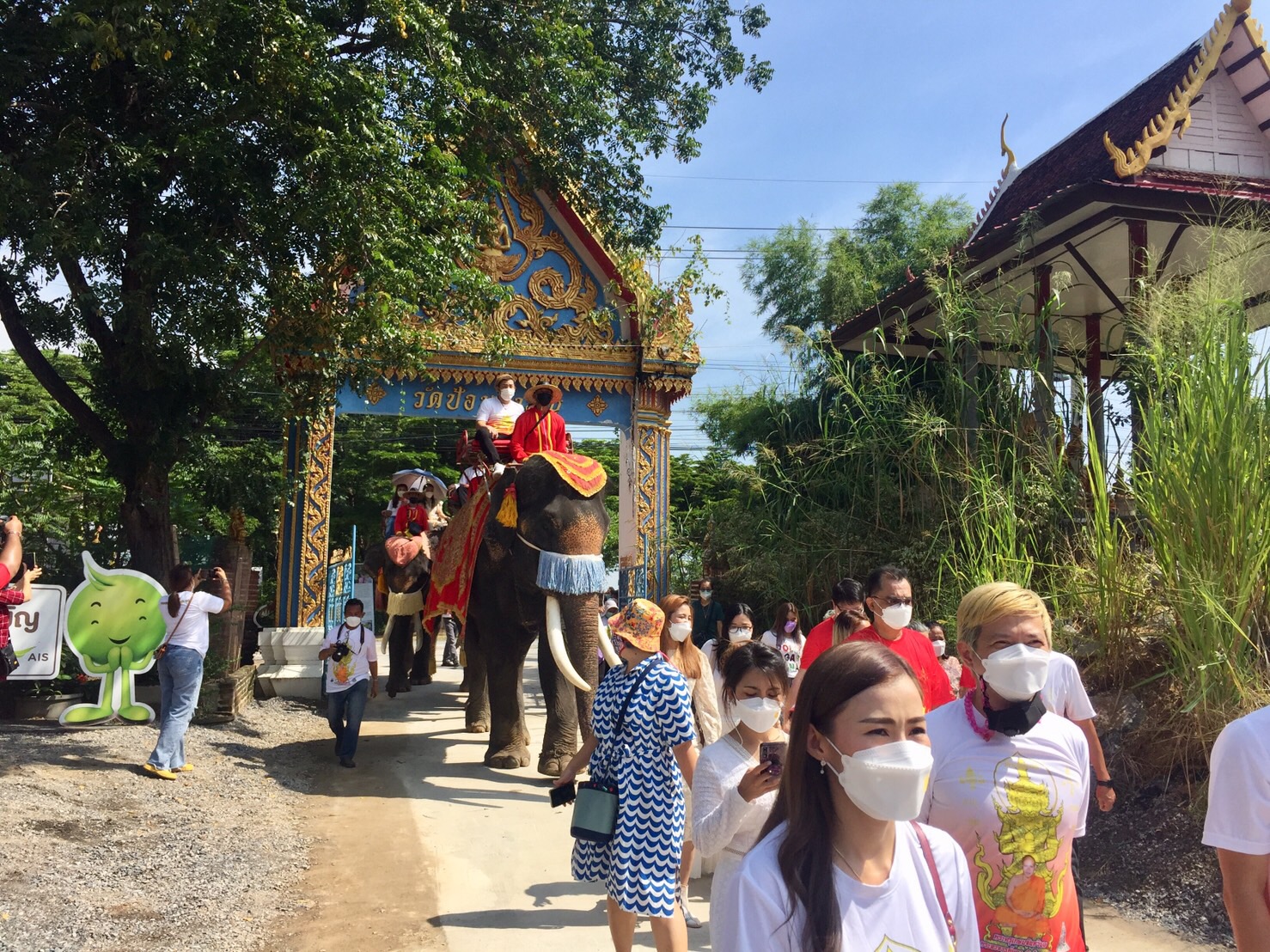 ฮือฮา! ช้างกรุงเก่าสวมแมส ร่วมขบวนแห่พุ่มกฐินงานบุญวัดป้อมรามัญ แบบการ์ดไม่ตกตามมาตรการเข้ม ประชาชนแห่ส่อง เลขมงคลยอดกฐินเสี่ยงโชค