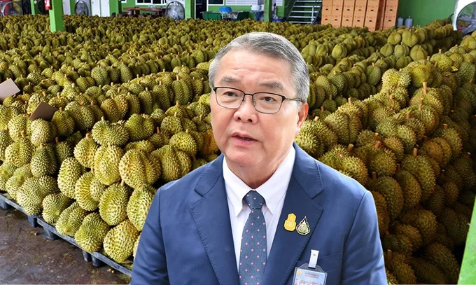 ไทยยืน 1 ส่งออกทุเรียนสดไปจีน เชื่อว่าไทยยังคงแชมป์