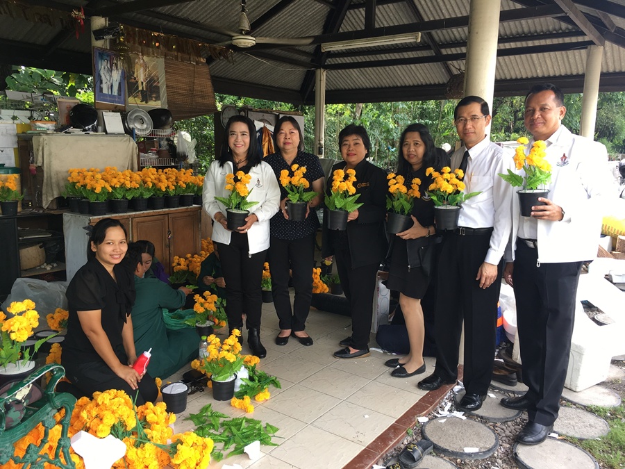  เขตบางพลัดลงพื้นที่ตรวจเยี่ยมความคืบหน้าการเพาะกล้าต้นดาวเรือง-จัดดอกไม้แห้งลงกระถาง