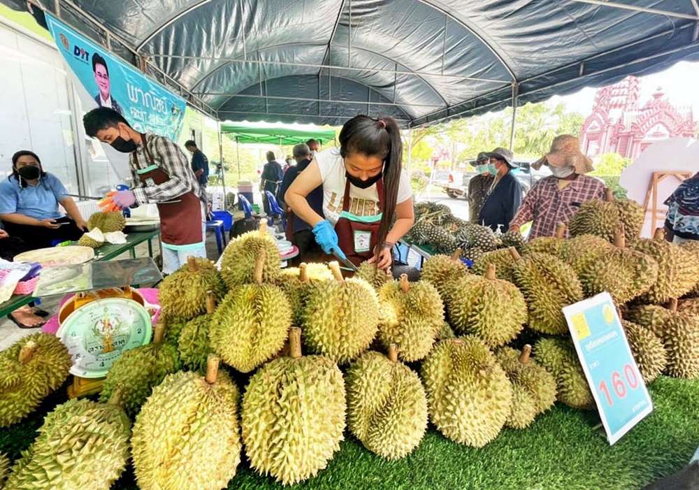 ประจวบฯ จัดเทศกาล "ทุเรียนตะนาวศรีคีรีขันธ์" ชูอัตลักษณ์เด่นทุเรียน 8 อำเภอ