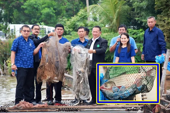โชว์ผลสำเร็จ!! ธนาคารผลผลิตสัตว์น้ำฯ หนองซับสมบูรณ์-หนองทานตะวัน สร้างเศรษฐกิจฐานรากเลี้ยงชุมชนยั่งยืน