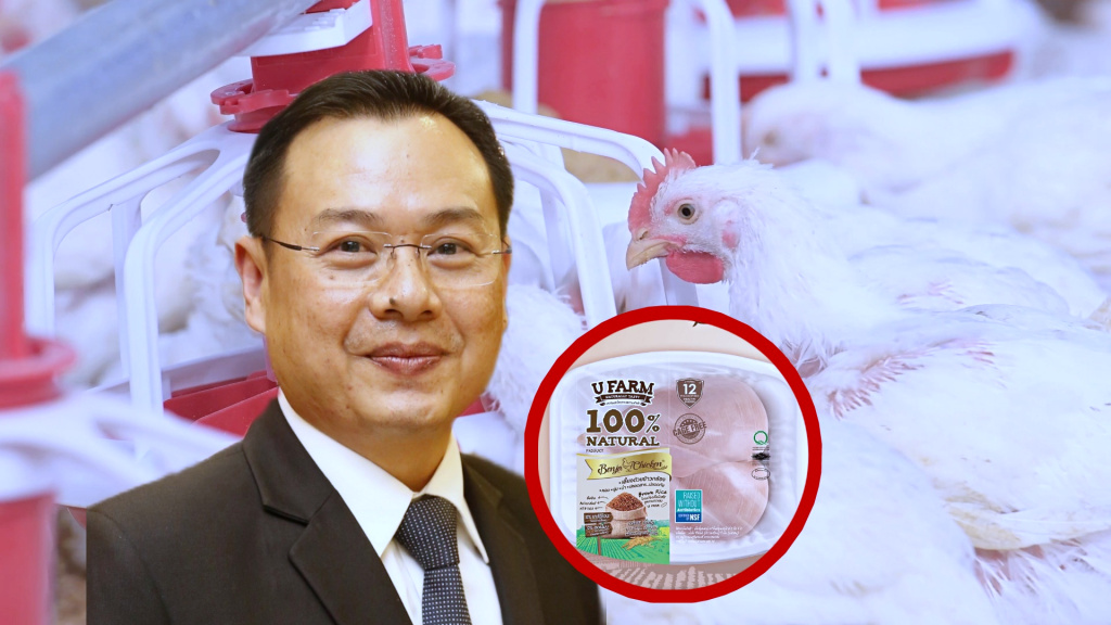 ซีพีเอฟ ชู 4 ปัจจัย หัวใจหลักสู่ความสำเร็จเลี้ยงไก่เนื้อ
