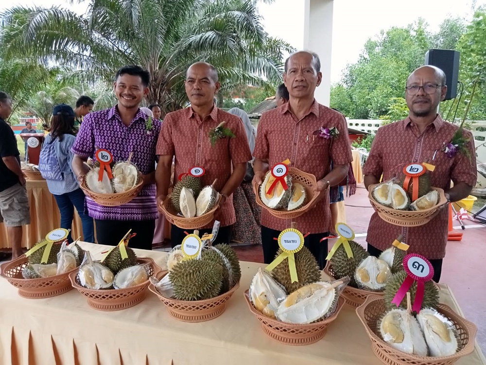 อบต.ไสไทย เปิดประกวดเฟ้นหาและรักษาพันธุกรรมทุเรียนพื้นเมืองพันธุ์ดี