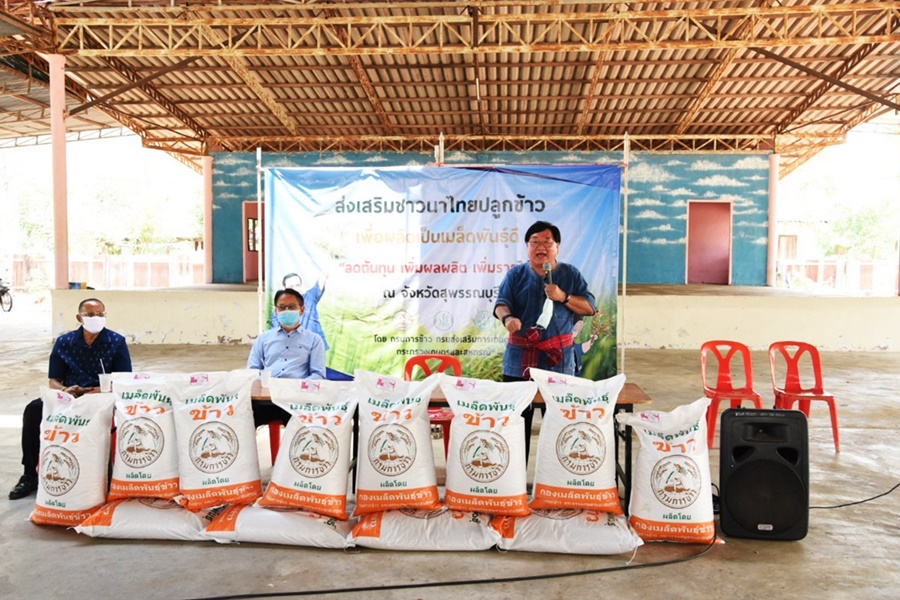 “ประภัตร” สั่งศูนย์ข้าวชุมชนอ.เดิมบางนางบวช ลุยผลิตเมล็ดพันธุ์ข้าวคุณภาพ  5 พันไร่ 