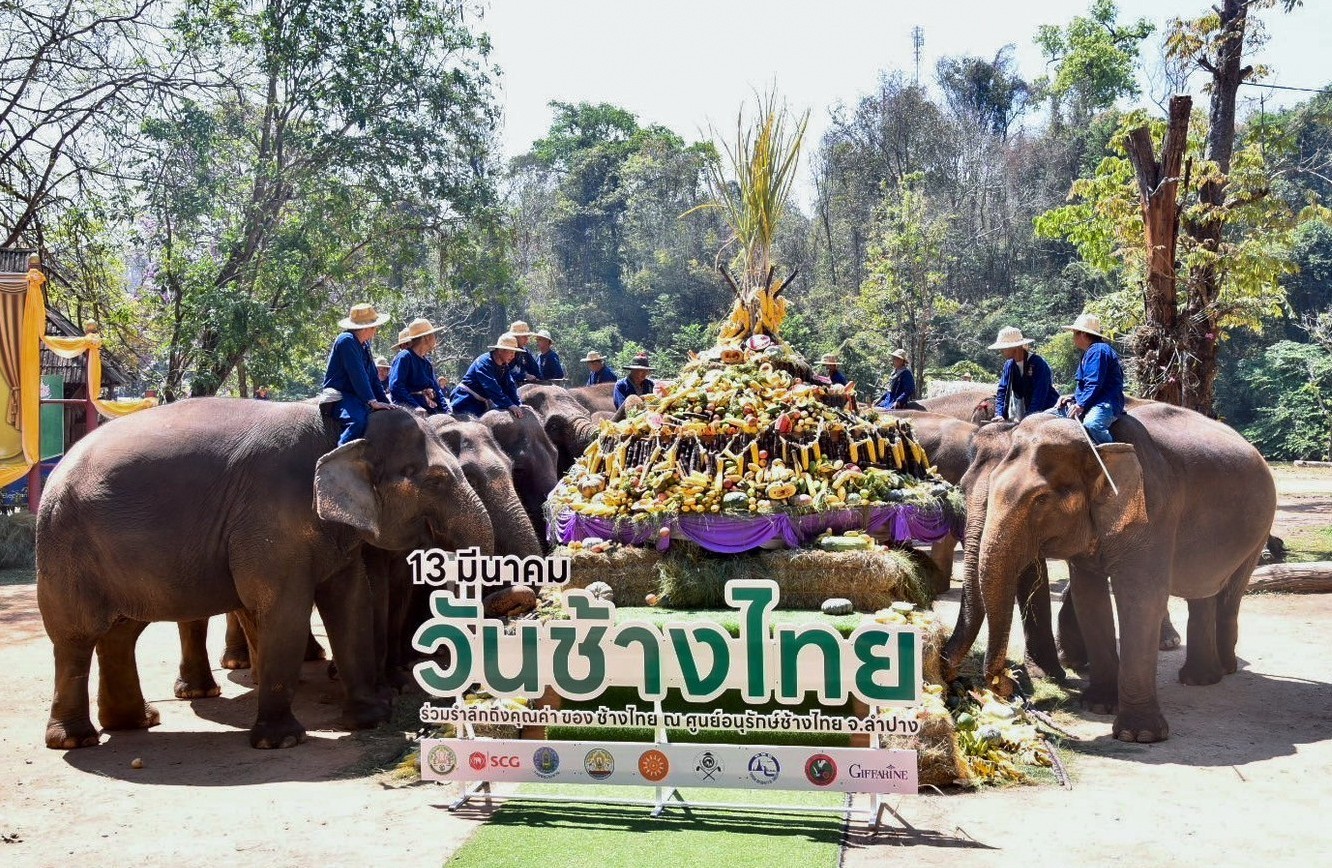 “พัชรวาท”เปิดงาน“วันช้างไทย”ชู“ขุนพลแห่งนักรบประจำชาติ”เร่งอนุรักษ์-ยกระดับความเป็นอยู่ให้ดีขึ้น