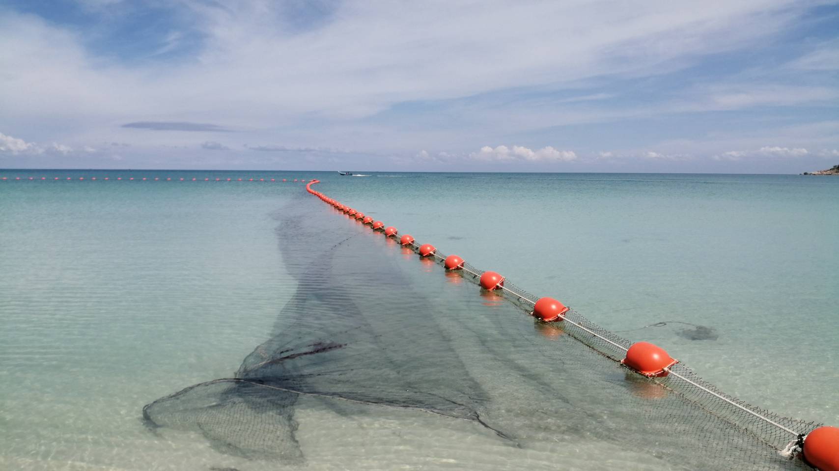 ผู้ว่าฯสุราษฎร์ กำชับเกาะพะงันเตือนนักท่องเที่ยวระวังแมงกะพรุนกล่อง 