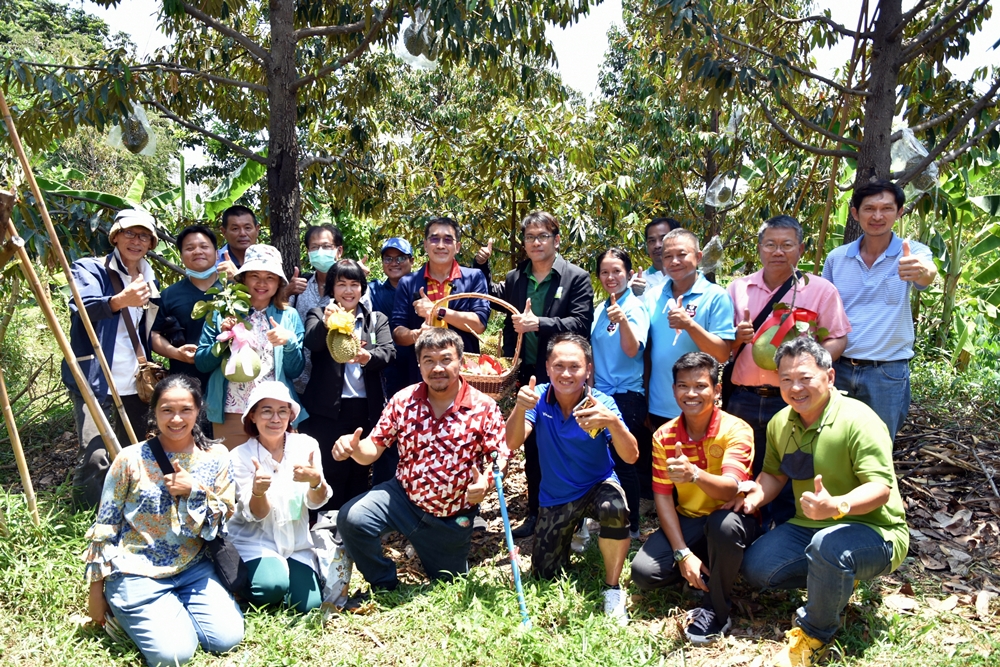 วช. ดัน Smart Farmer ชูทุเรียนเมืองนนท์ พ้นวิกฤตน้ำเค็มหนุน