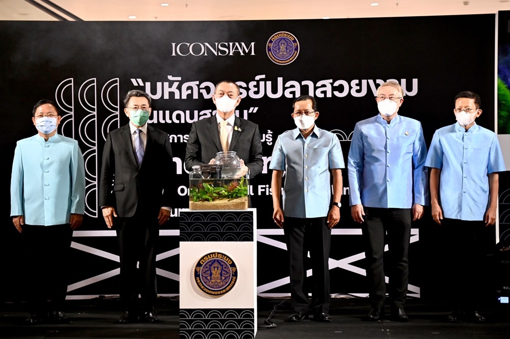 กรมประมง เปิดโชว์สัตว์น้ำสวยงาม กระตุ้นอนุรักษ์สัตว์น้ำพื้นเมืองไทย
