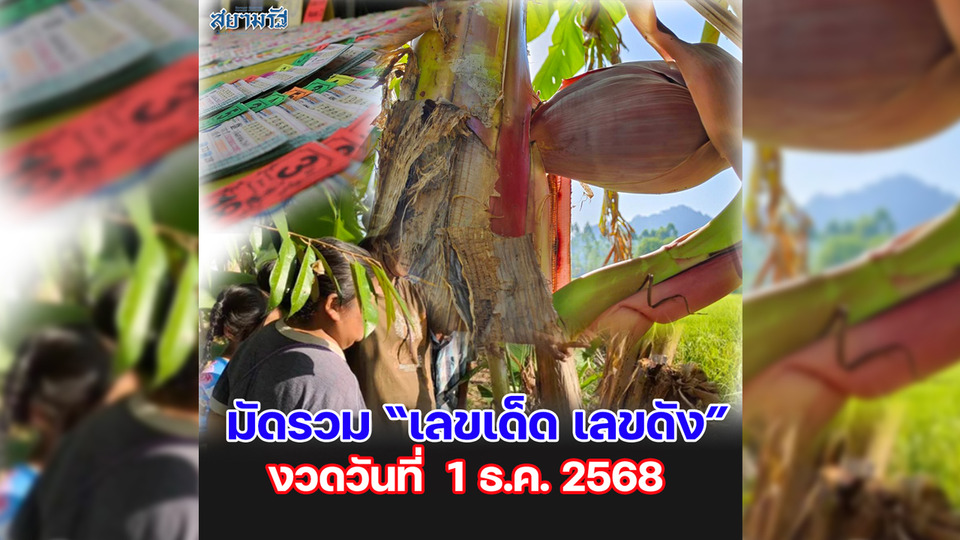 มัดรวม "เลขเด็ด เลขดัง” งวดวันที่ 01/12/68