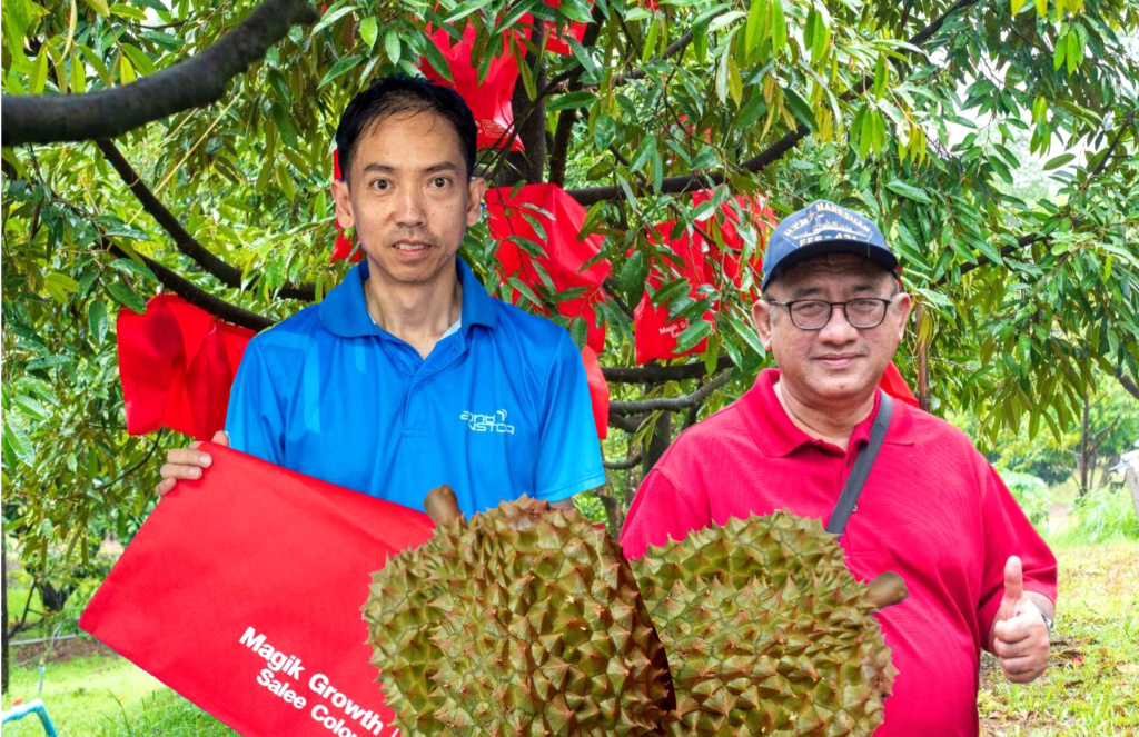 สวทช. หนุนชาวสวนทุเรียน ใช้ถุง "Magik Growth" สร้างมาตรฐานส่งออก