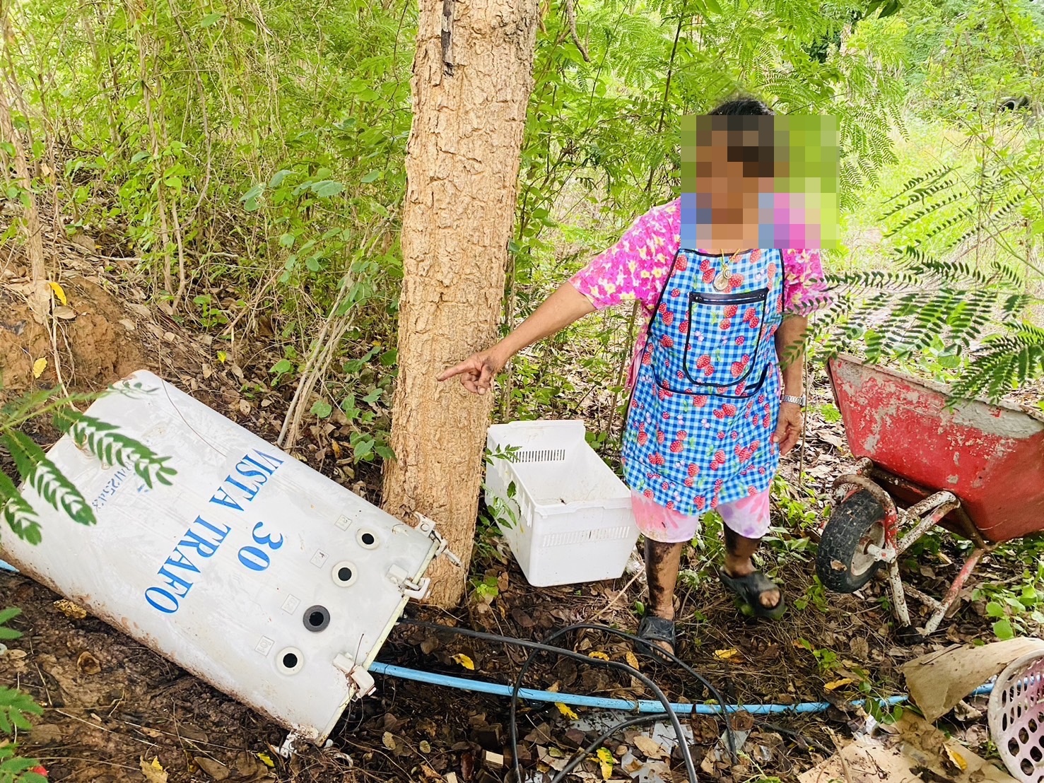 สองยายหลานชาวชัยภูมิฮึดสู้หัวขโมยสายไฟบ้านใช้ท่อนเหล็กตีหัวขโมยเจ็บปางตาย