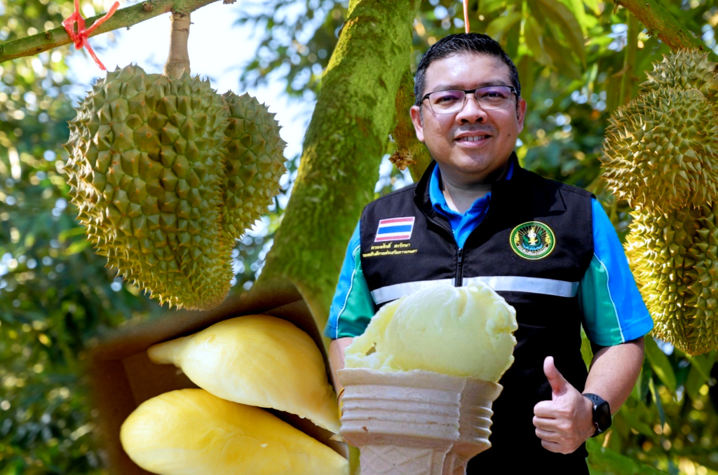แปลงใหญ่ทุเรียนตำบลทะเลทรัพย์ โชว์ผลผลิตคุณภาพ ด้วยการบริหารแบบแปลงใหญ่