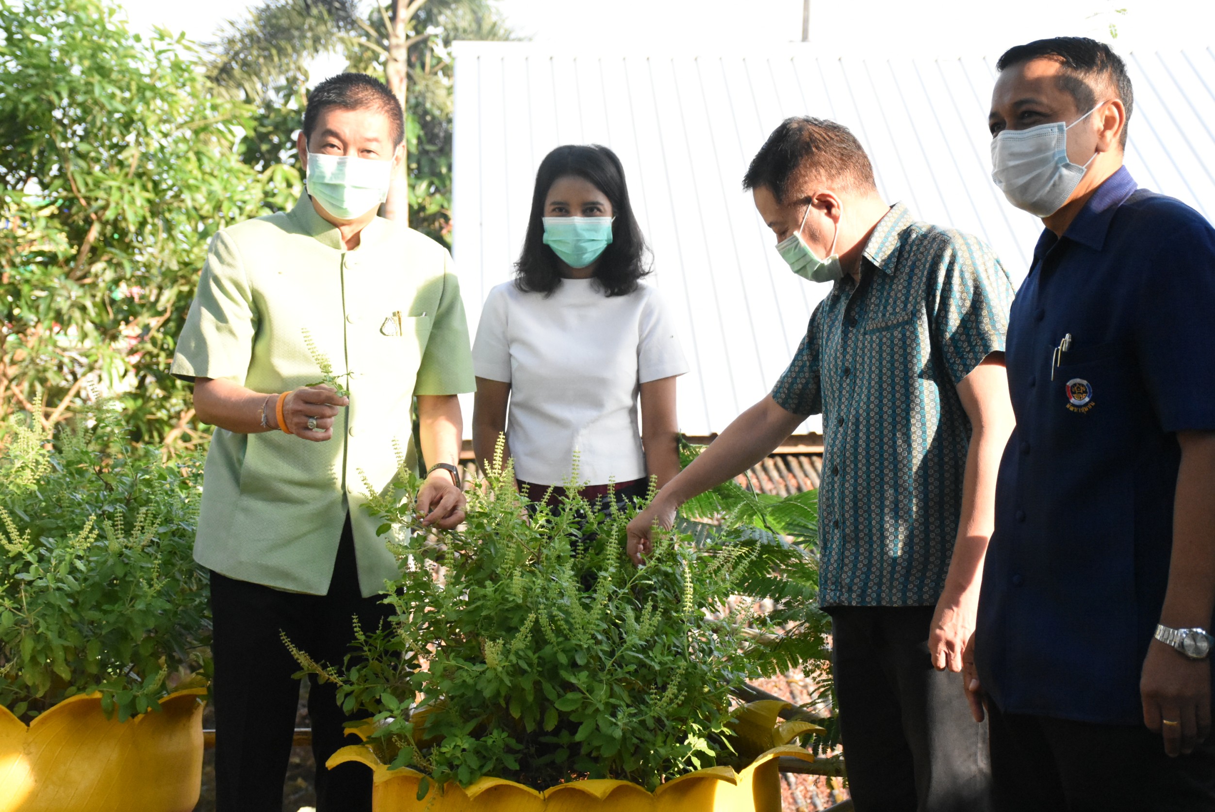 ตรังหนุนปลูกผักสวนครัวสร้างความมั่นคงทางอาหาร