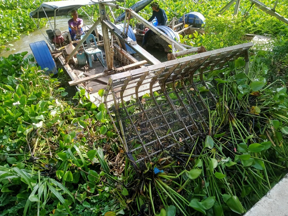 โครงการส่งน้ำฯรังสิตใต้ เร่งกำจัดวัชพืชในคลองหกวาสายล่าง เพิ่มประสิทธิภาพในการระบายน้ำ