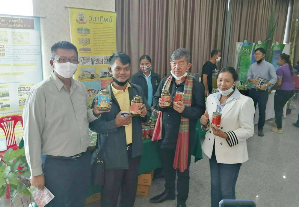 'กลุ่มเกษตรกรเลี้ยงโคขุนบ้านทุ่งแต้ฟาร์ม'เอาจริง เลี้ยงโคขุนเพื่อจำหน่ายสร้างรายได้ยั่งยืน
