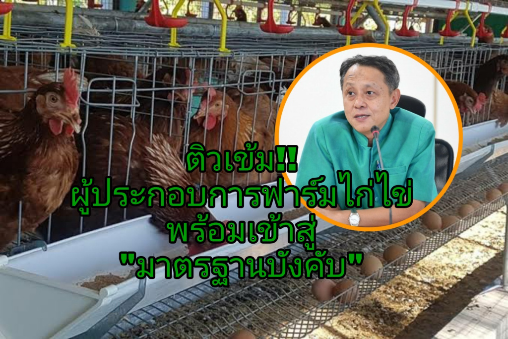 มกอช.​ ติวเข้มผู้ประกอบการฟาร์มไก่ไข่ พร้อมเข้าสู่มาตรฐานบังคับ