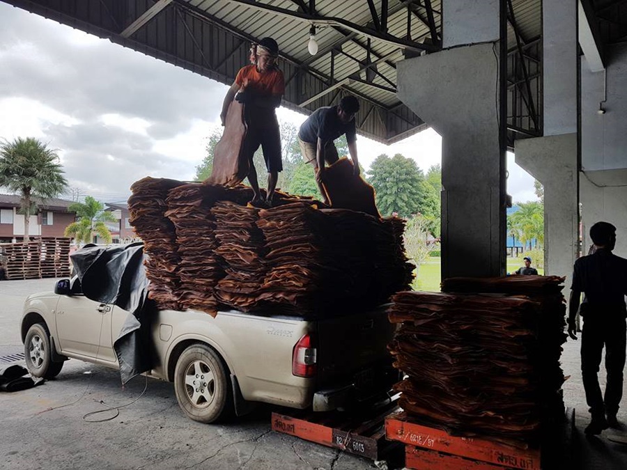 กยท.นำร่องเปิดซื้อขายยาง ผ่านตลาด RRM เพิ่มโอกาสหาตลาดใหม่เกษตรกรชาวสวนยาง