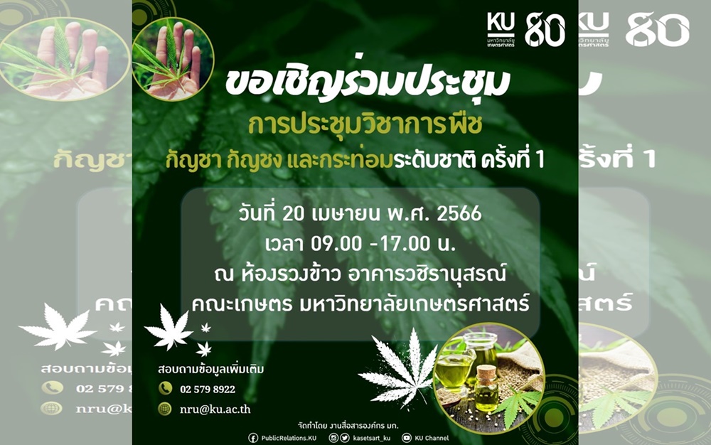 มก. ชวนฟังประชุมวิชาการพืช “กัญชา กัญชง และกระท่อมระดับชาติ มหาวิทยาลัยเกษตรศาสตร์ ครั้งที่ 1” 20 เม.ย.นี้