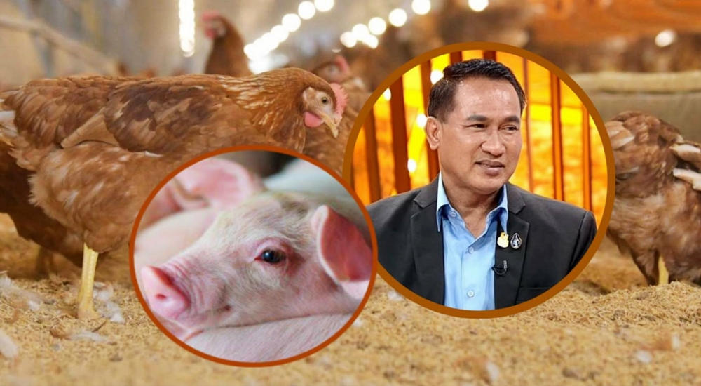 ปศุสัตว์ เดินหน้า Animal Welfare สู่สินค้าปศุสัตว์มาตรฐานอาหารปลอดภัย  