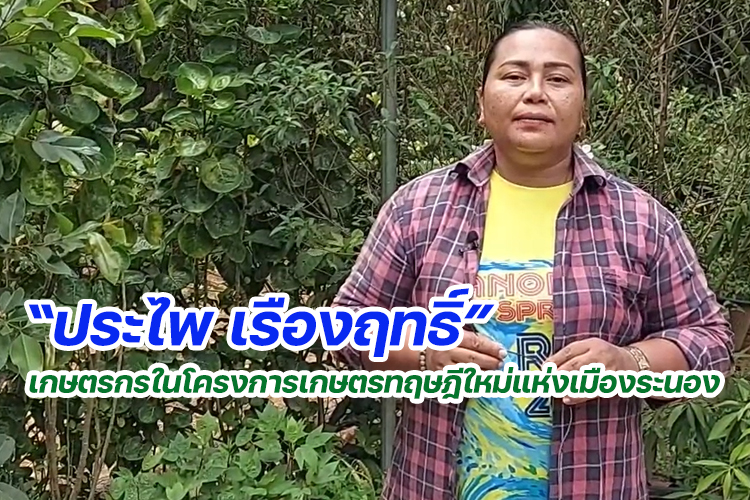 ประไพ เรืองฤทธิ์ เกษตรกรในโครงการเกษตรทฤษฎีใหม่แห่งเมืองระนอง 