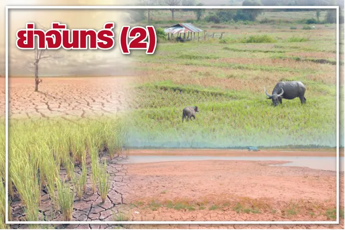 ย่าจันทร์ (2)