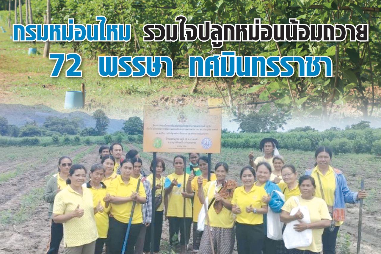กรมหม่อนไหม รวมใจปลูกหม่อนน้อมถวาย 72 พรรษา ทศมินทรราชา 