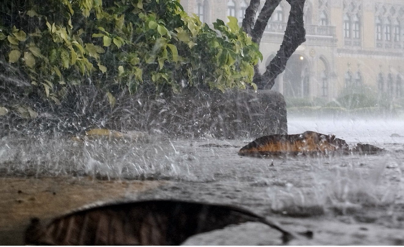 อุตุฯ เตือน "ใต้-เหนือ-ตะวันออก" เตรียมรับมือฝนตกหนัก