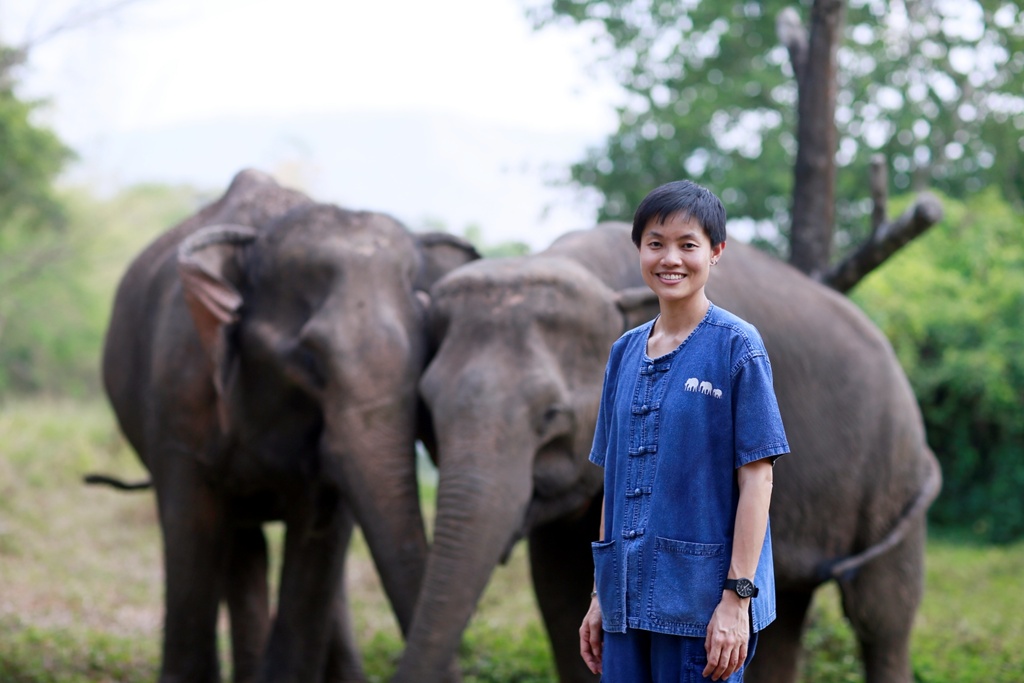 Elephant Forest พิษณุโลก ปางช้างหัวใจใหญ่ของหญิงแกร่ง "ศิรอาภา ศิริวิริยะกุล"