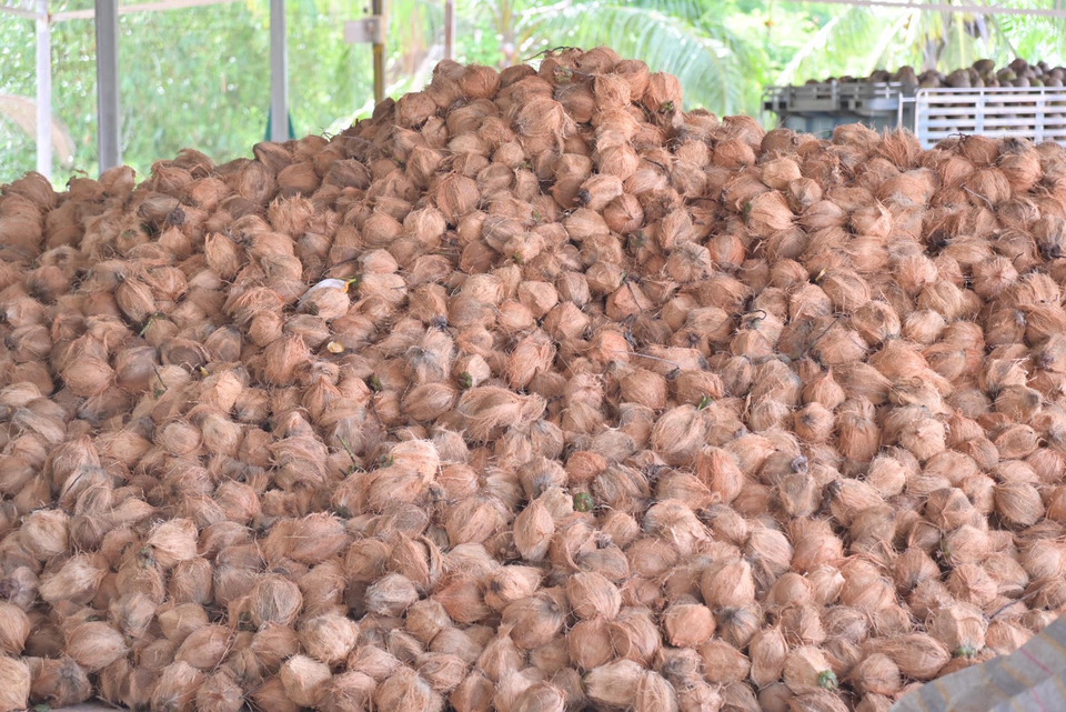 “ศุภจี” มอบหมาย คน.ของบกลางรับซื้อมะพร้าวแกงในราคานำตลาดเพิ่มเติม ย้ำกลุ่มเกษตรกรต้องได้รับการช่วยเหลือทั่วถึง