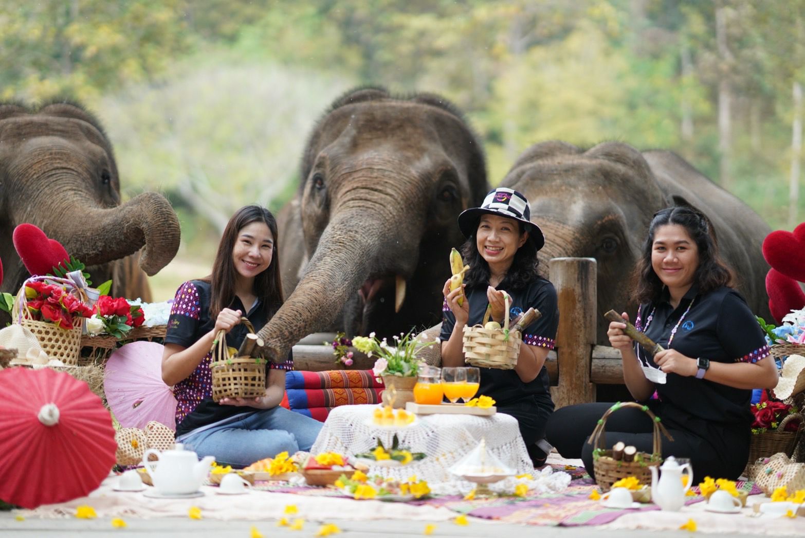 ส.คช. – ททท.ลำปาง ร่วม “เปิดประสบการณ์เล่าเรื่องช้าง” ผ่าน ‘Blogger’ หวังกระตุ้นท่องเที่ยวลำปาง