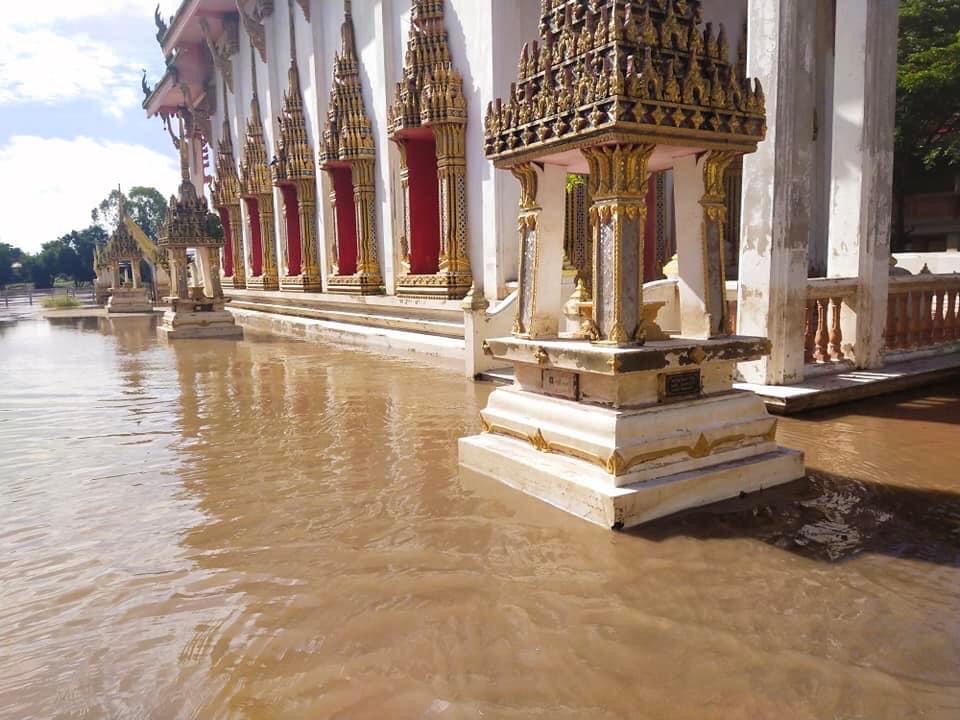 "ปภ." เปิด 21 จังหวัด-มี 19,630 ครัวเรือนได้รับผลกระทบพายุโซนร้อน "หมาอ๊อน"