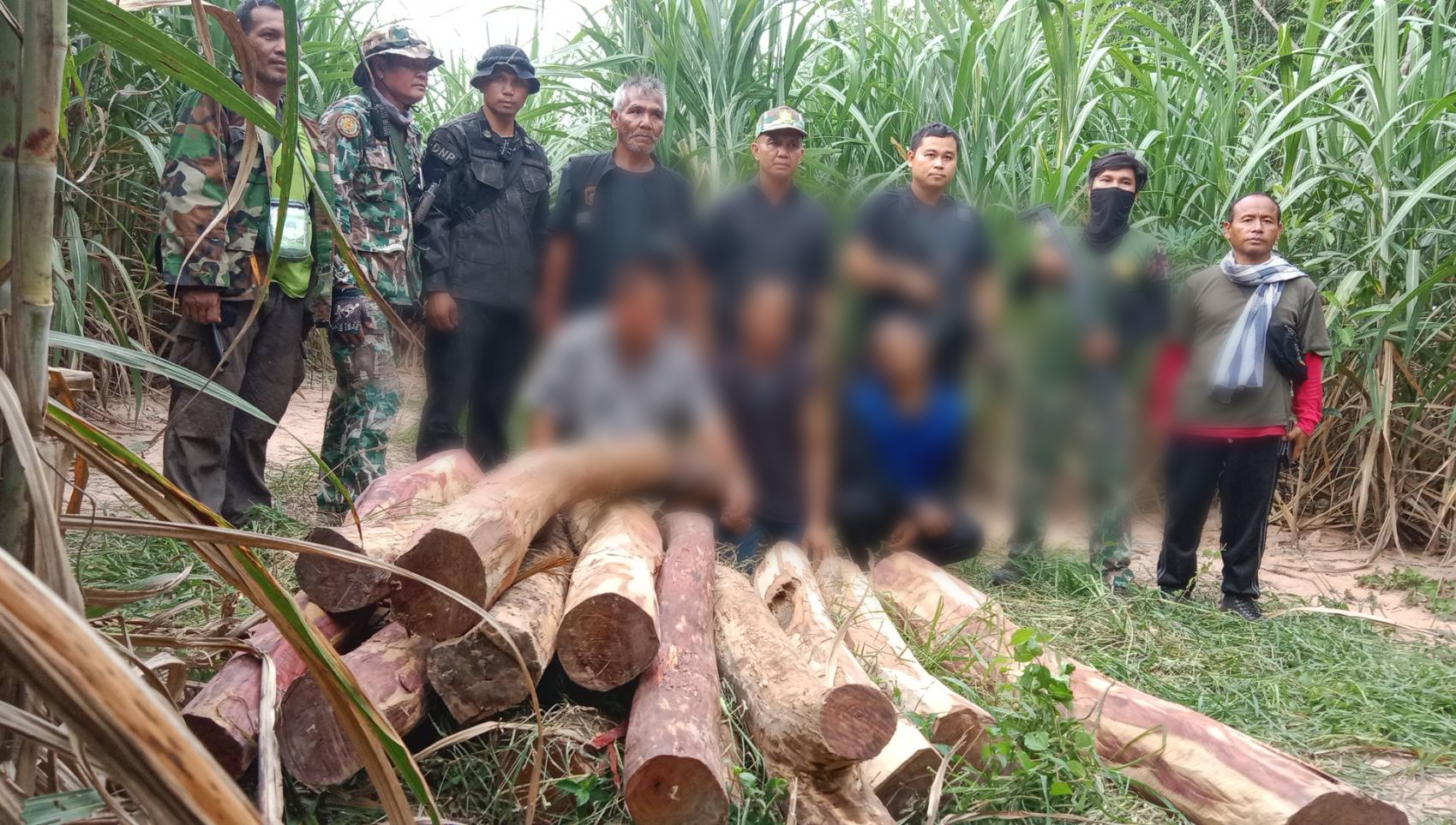ขนไม้พะยูง 15 ท่อน มาจากโคราช เตรียมขายให้พ่อค้าเขมร ถูกจับกุมเสียก่อน