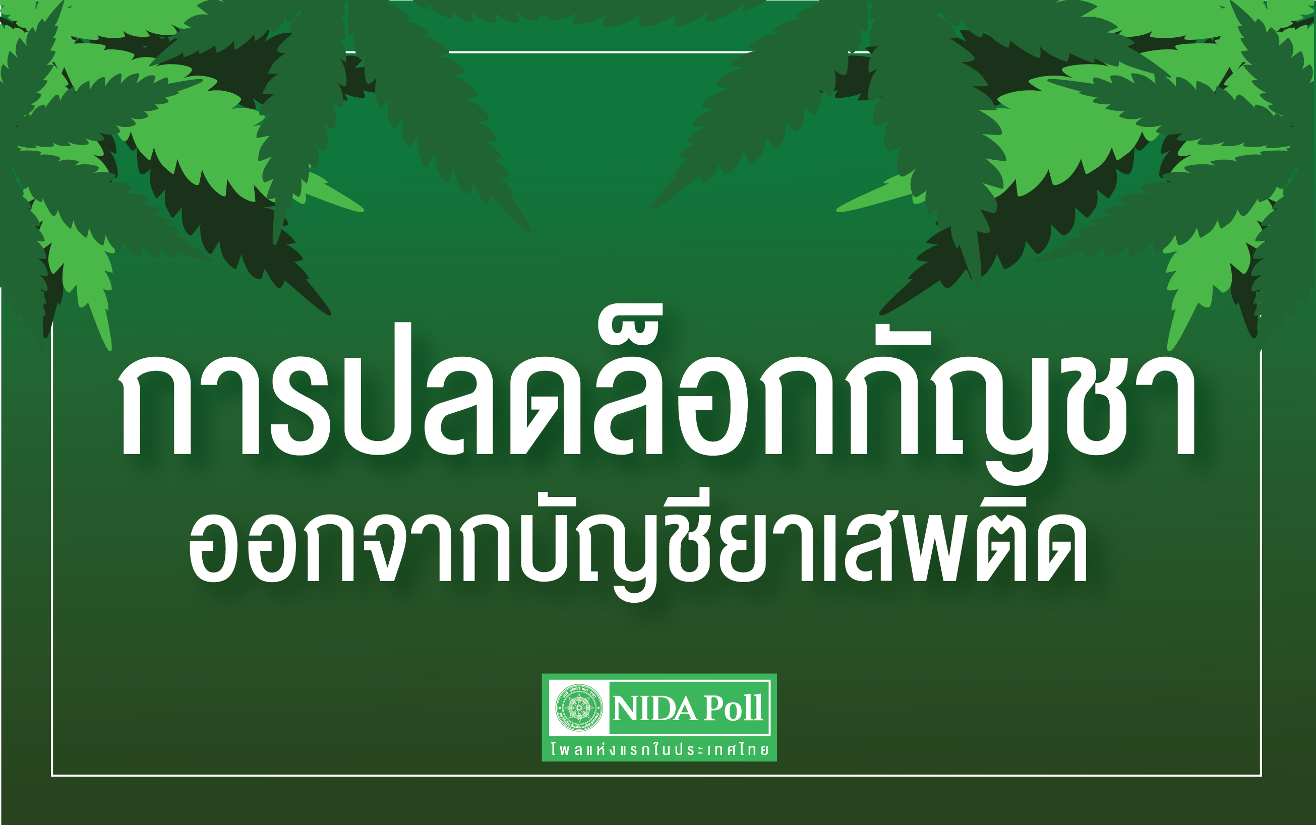 นิด้าโพล เผยคนส่วนใหญ่เห็นด้วยปลดล็อกกัญชา เพราะเป็นพืชเศรษฐกิจ สร้างรายได้ ใช้เป็นยารักษาโรคได้
