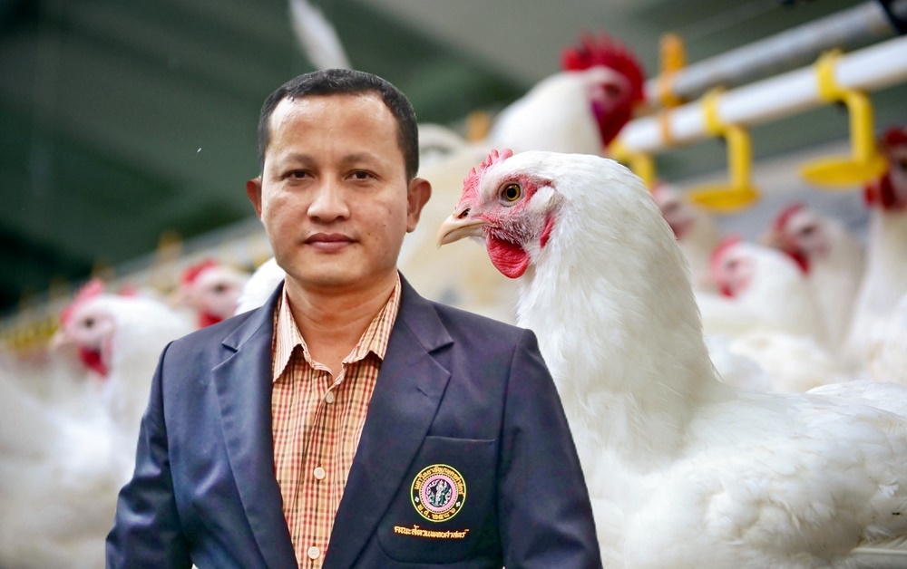 "ไก่ไทย" ไม่ใช้ฮอร์โมน มาตรฐานการผลิตระดับสากล