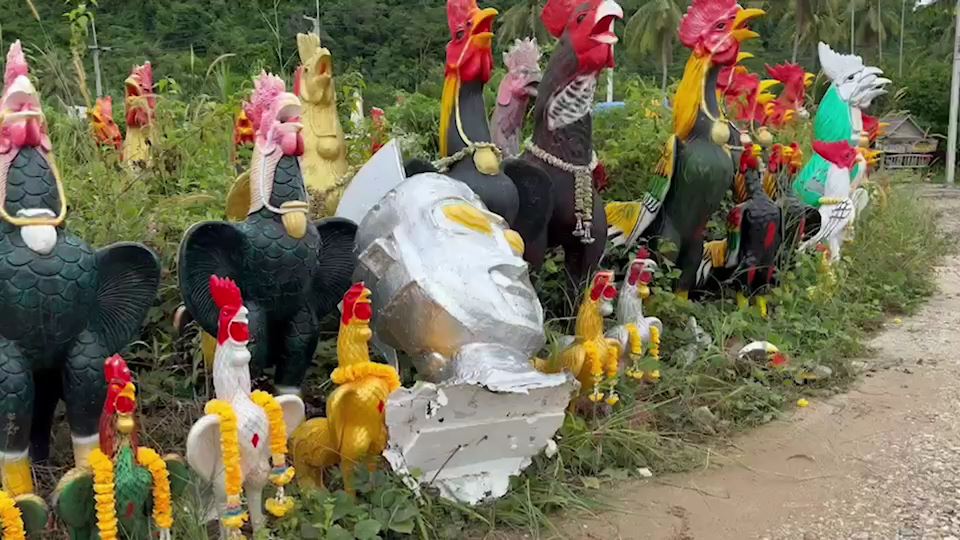 'วัดเจดีย์'ยันหุ่นอุลตร้าแมนยักษ์ของไฮโซปอล้มคอหัก เพราะลมแรงฝนตกทุกวันไม่เกี่ยวกับความเชื่อ