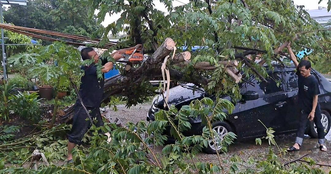 พายุฝนกระหน่ำซัดต้นไม้ล้มทับบริเวณเทคนิคโพธาราม ทำรถพังเสียหายโชดดีเจ้าของรถไม่ได้อยู่ในรถ
