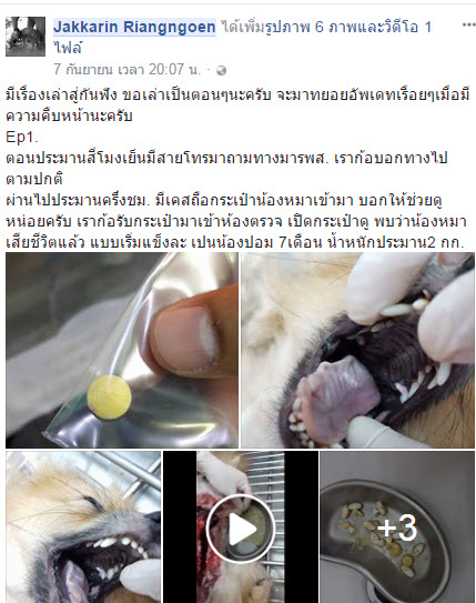 เตือน!! ภัยสังคมวางยาเบื่อสุนัขหวังเงินประกัน