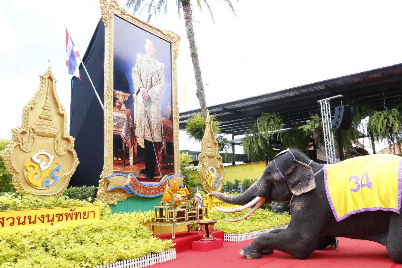 ช้างถวายพวงมาลัย ทรงพระเจริญ เนื่องในวันเฉลิมพระชนมพรรษาในหลวง รัชกาลที่ 10 