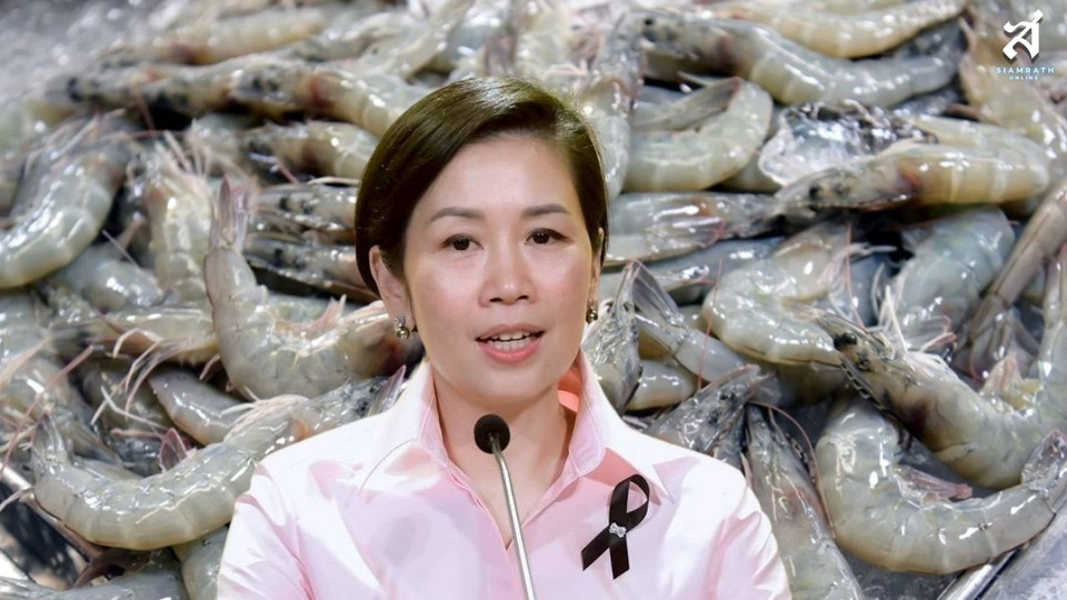 ลุย 13 มาตรการช่วยชาวกุ้ง หลังมาเลเซียระงับนำเข้า เร่งเปิดตลาดจีนพยุงราคา